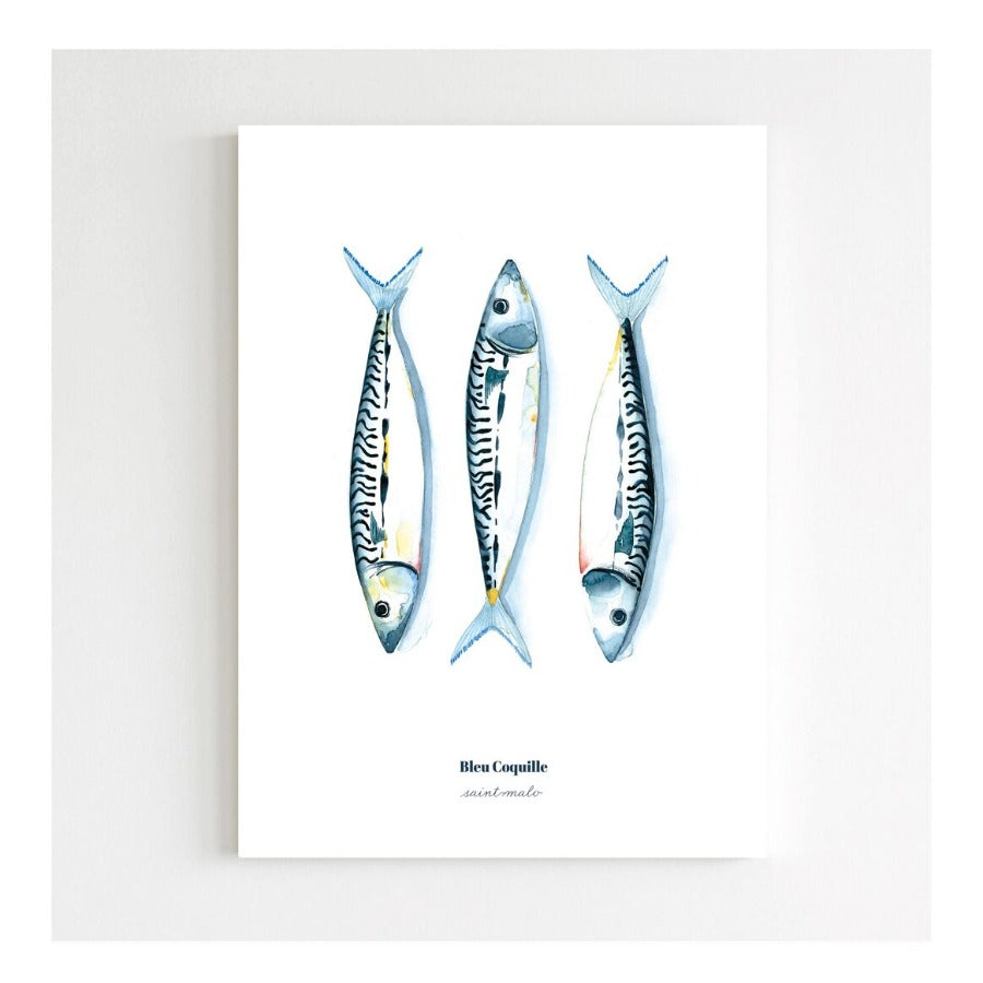 Affiche A5 - Les maquereaux