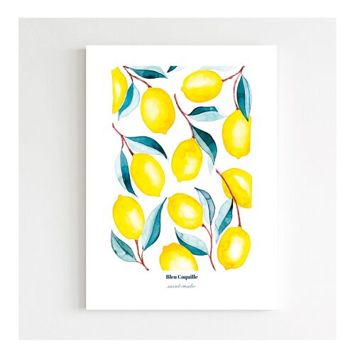 Affiche A5 - Les citrons
