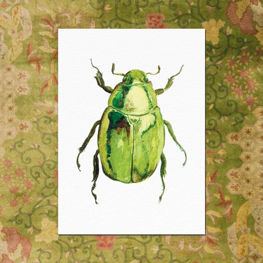 carte postale scarabée ogre illustration