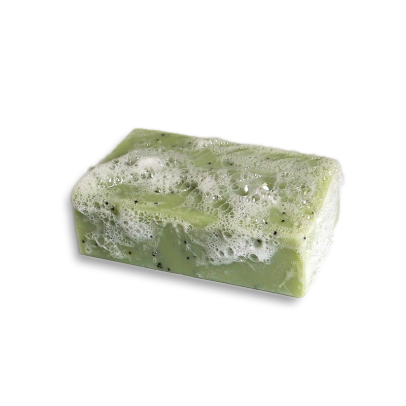 Savon Bio saponifié à froid le Gecko Clémence & Vivien