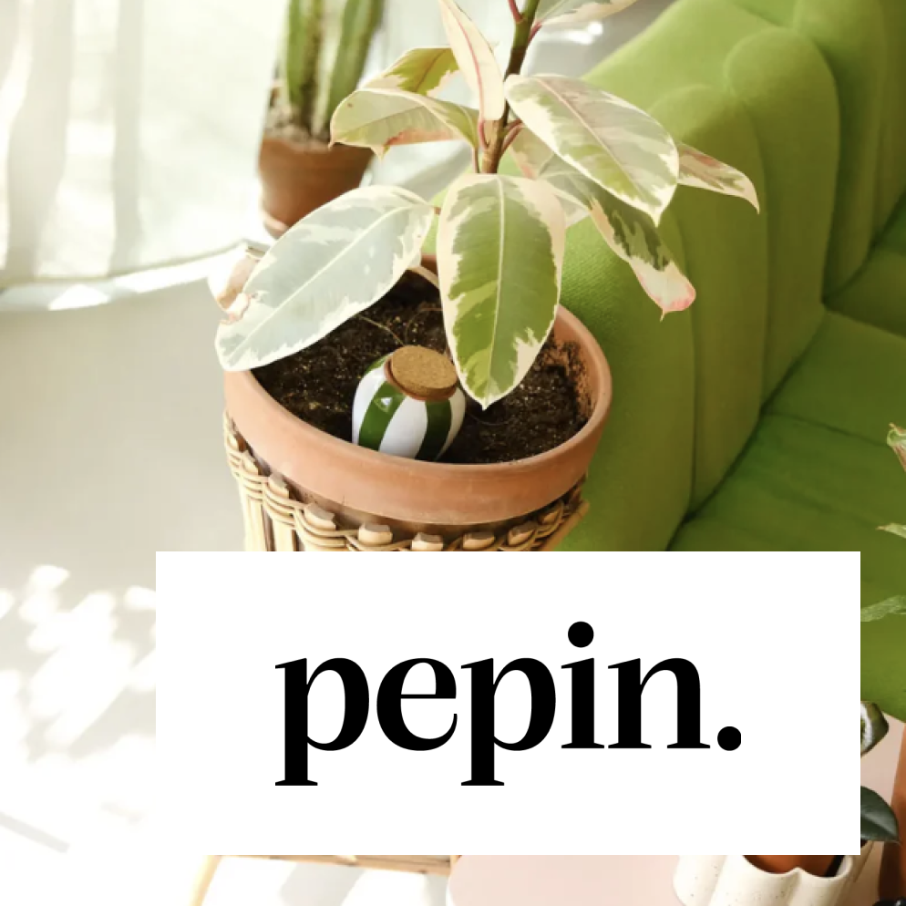 Pepin olla