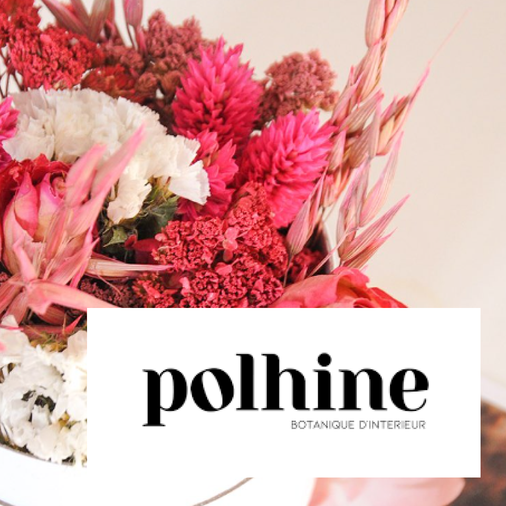 Polhine fleurs seches