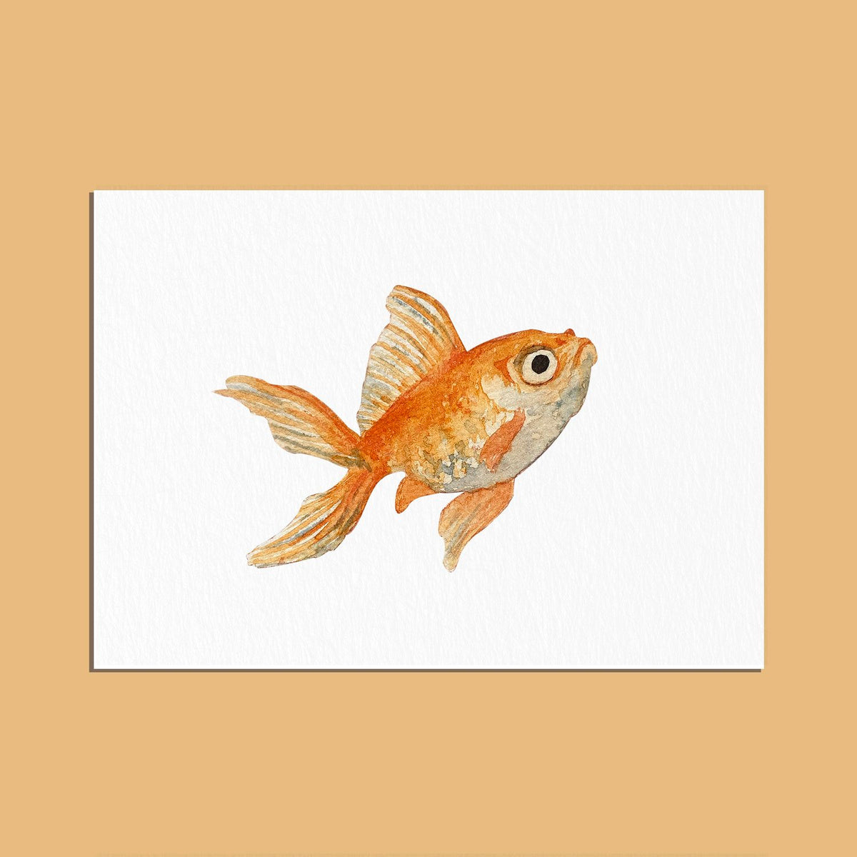 Carte A6 Le poisson orange - Ogre illustration - 017