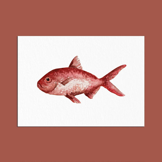carte postale poisson rouge