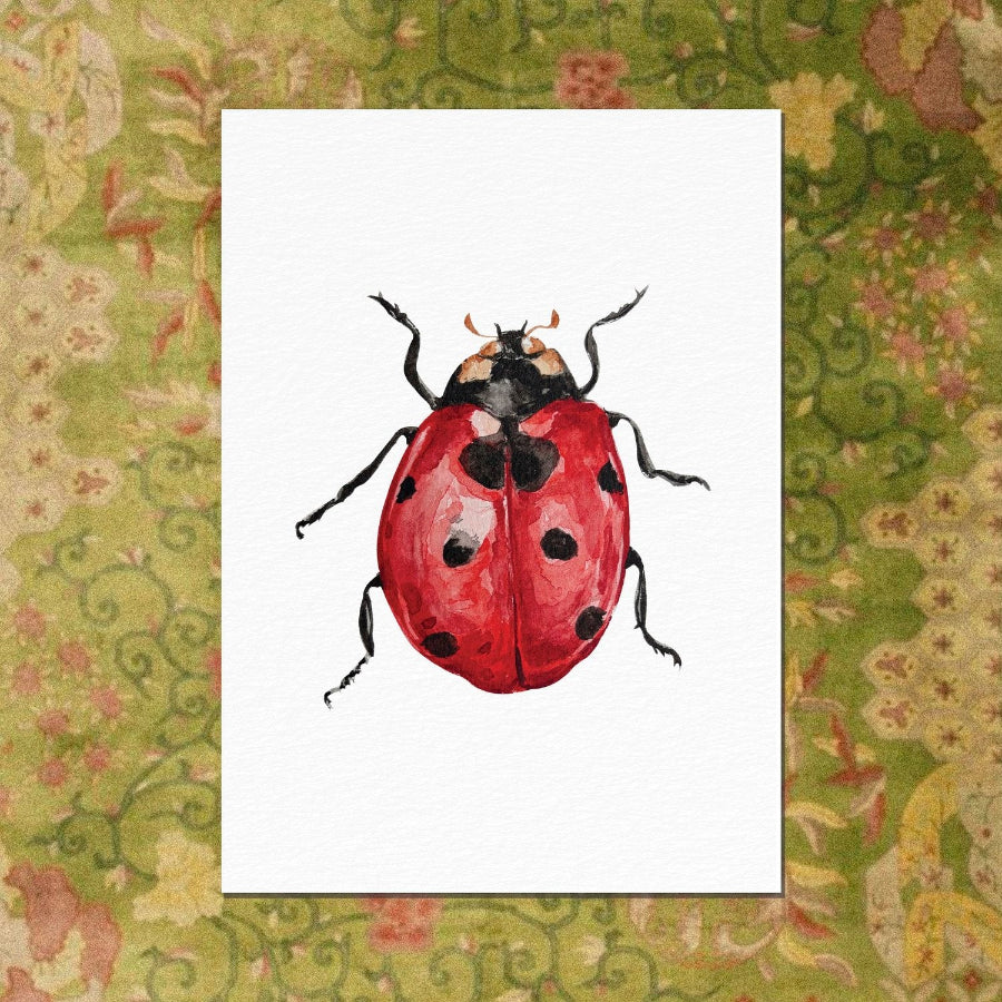 carte postale coccinelle ogre illustration