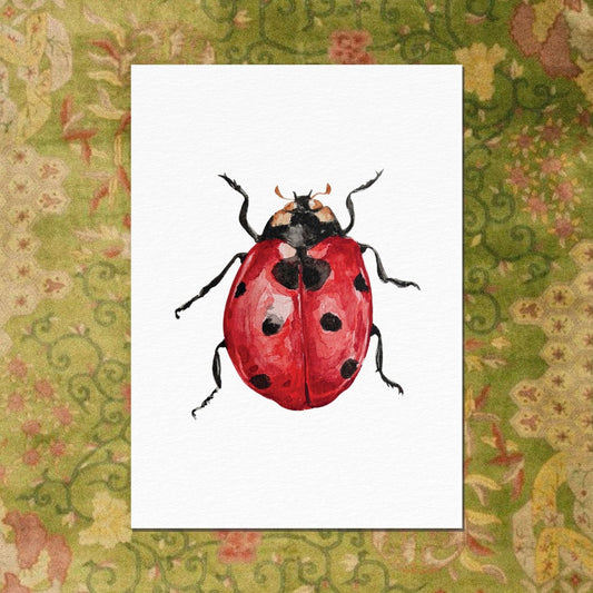 carte postale coccinelle ogre illustration