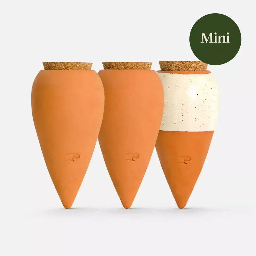 Coffret 3 mini olla