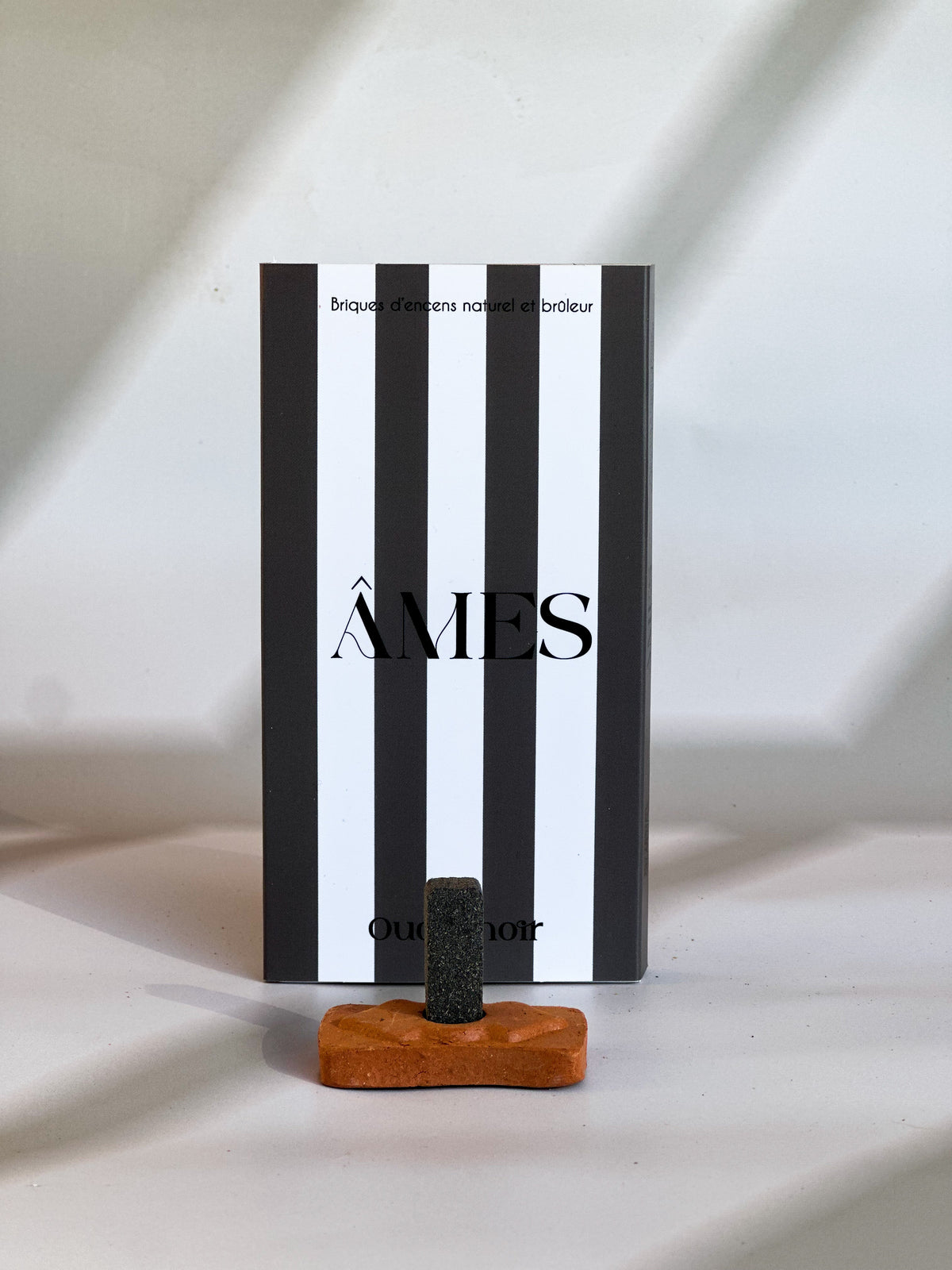 Briques d'encens naturel et brûleur