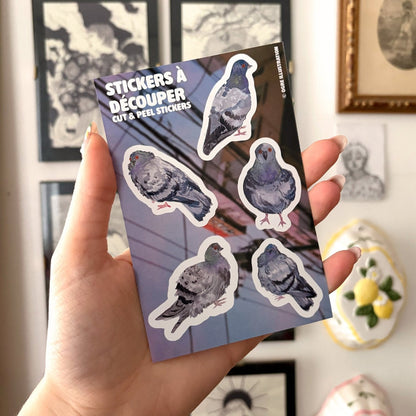 planche de stickers pigeons ogre illustration