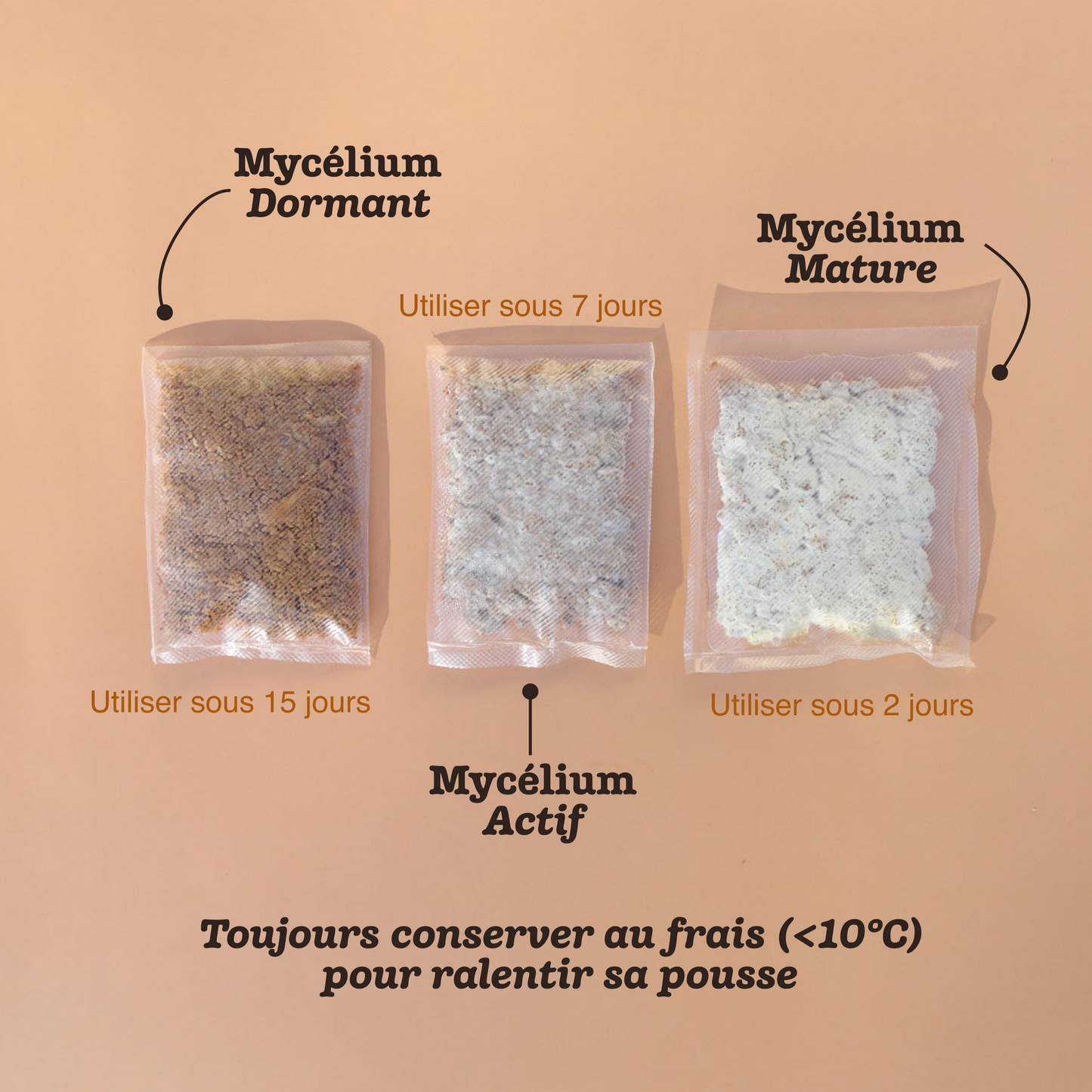 Kit Mycélium DIY - 2 bijoux de sac shroumi