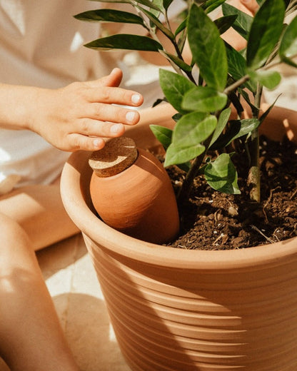 Olla hydratante Pepin - Terracotta