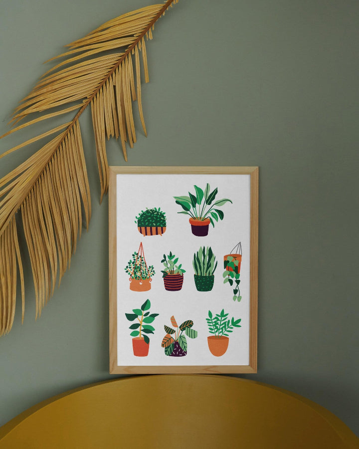 affiche botanique encadrée