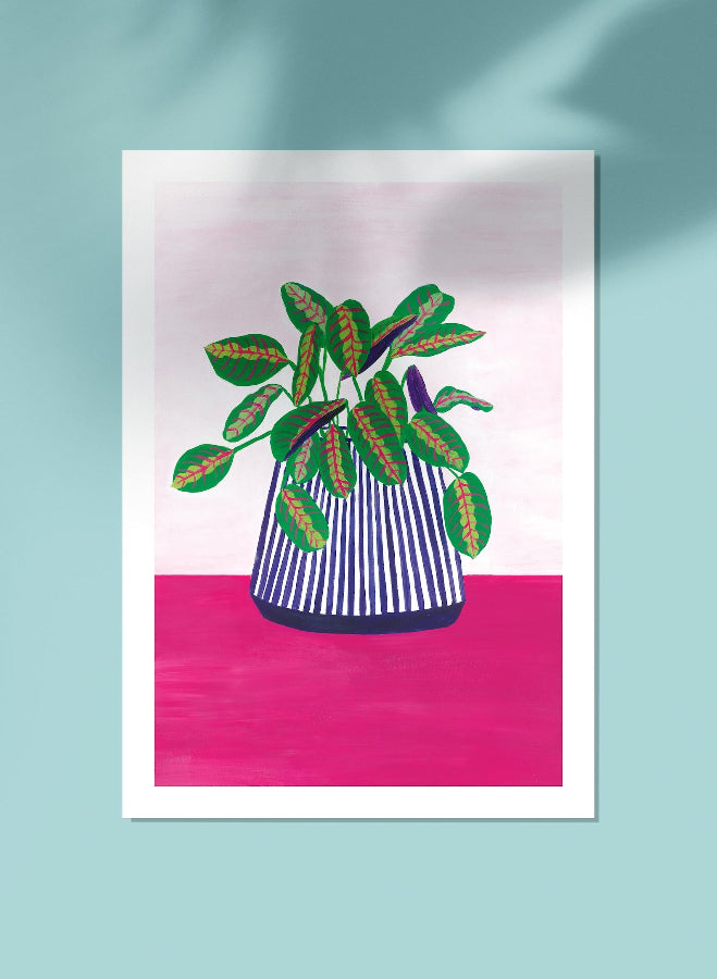 affiche calathea lucie leforestier