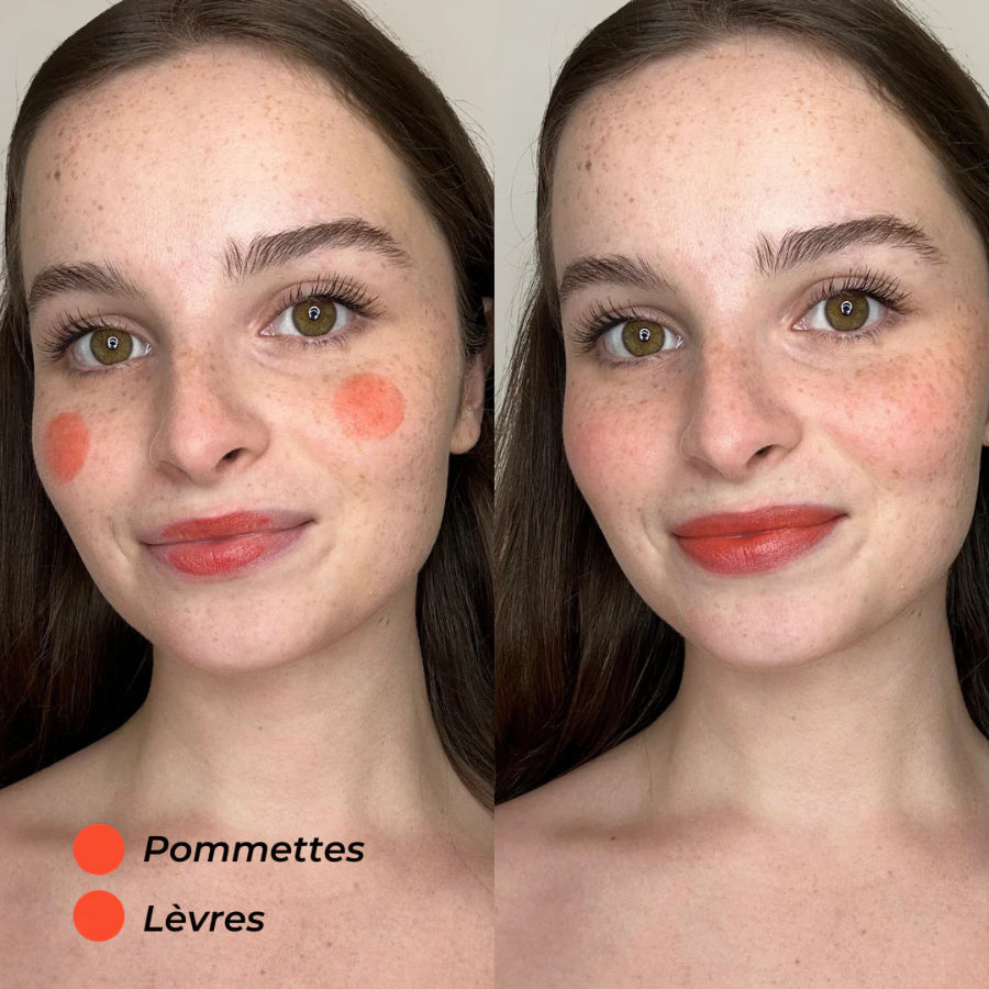 application baume  blush stick pomponne