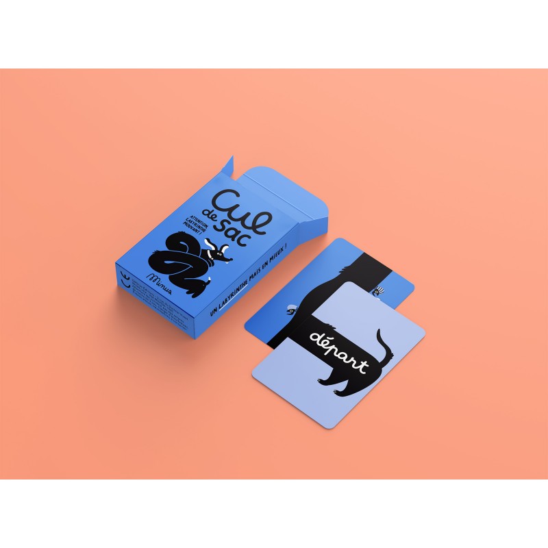 jeu de carte cul de sac labyrinthe à emporter partout