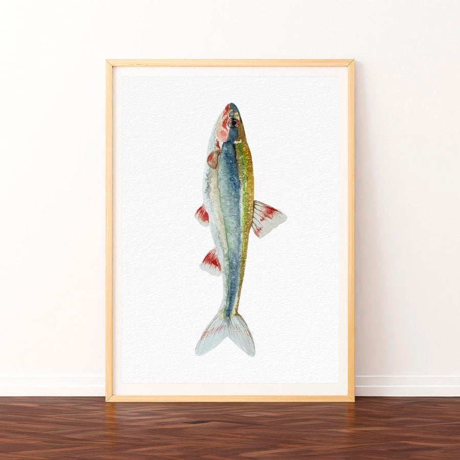 affiche poisson luxilus ogre illustraton