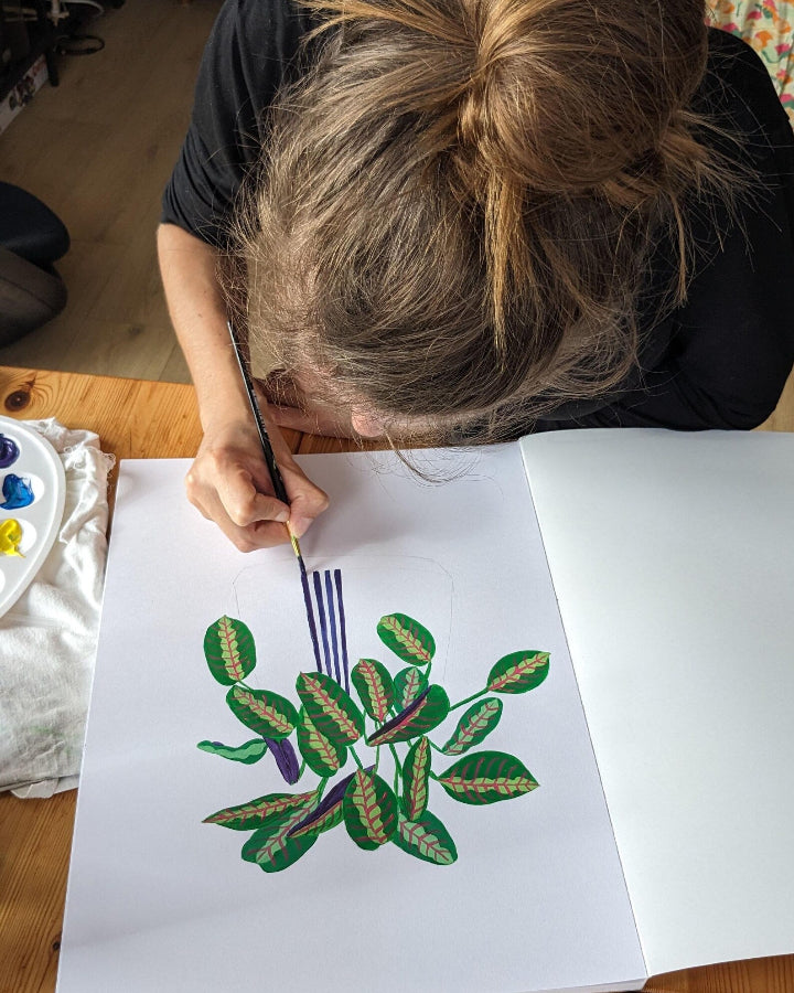 illustration calathea lucie leforestier