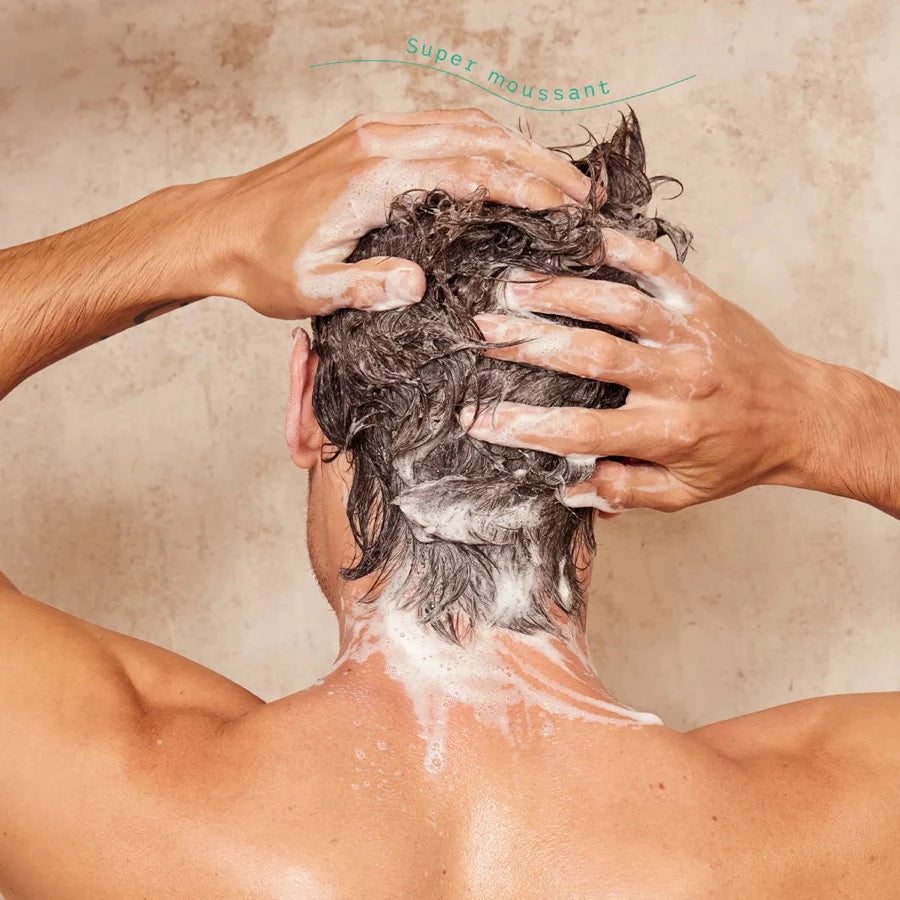 shampoing solide cheveux normaux