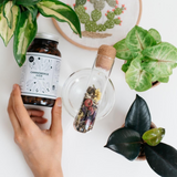 Thé noir bio canneberge-goji GreenMa