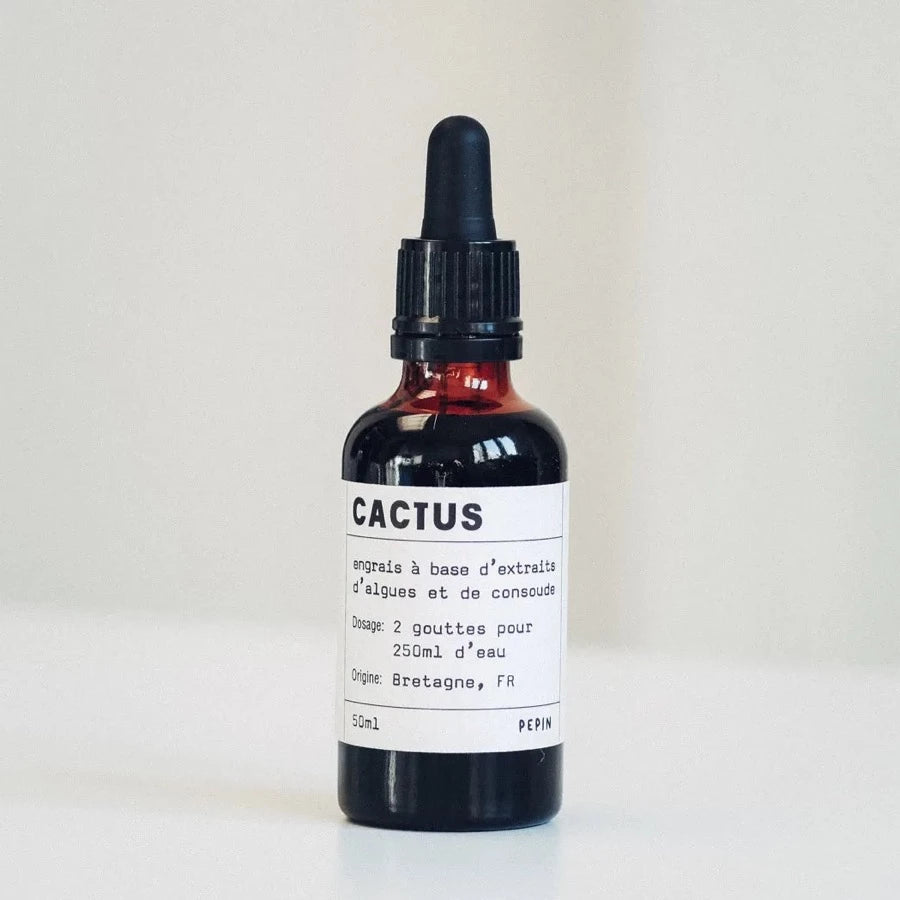 engrais pour cactus et succulentes