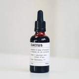 engrais pour cactus et succulentes