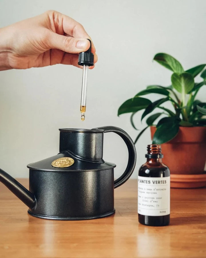 engrais pour cactus et succulentes