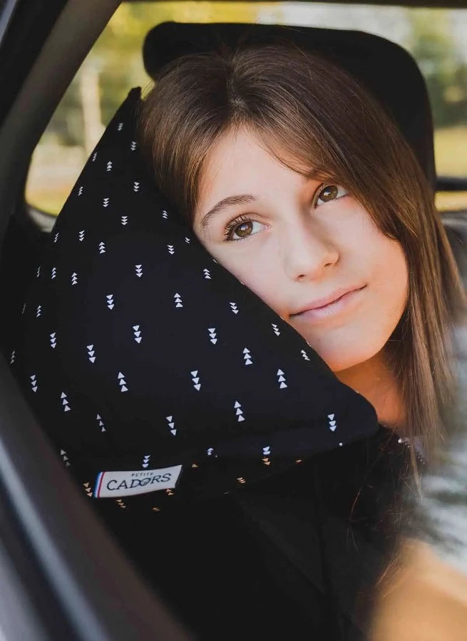 coussin de voiture Akihabara. Petits cadors