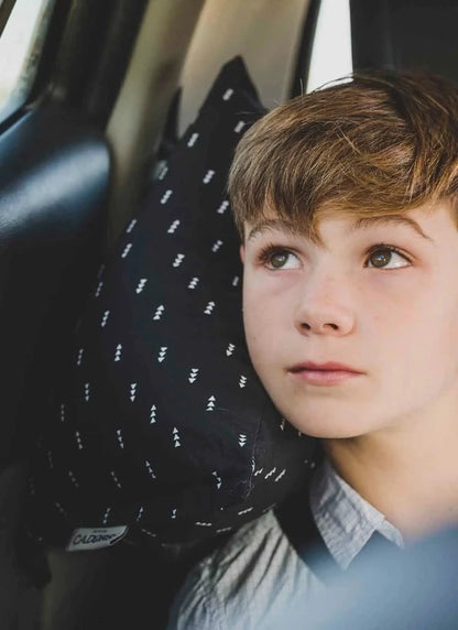 coussin de voiture Akihabara. Petits cadors