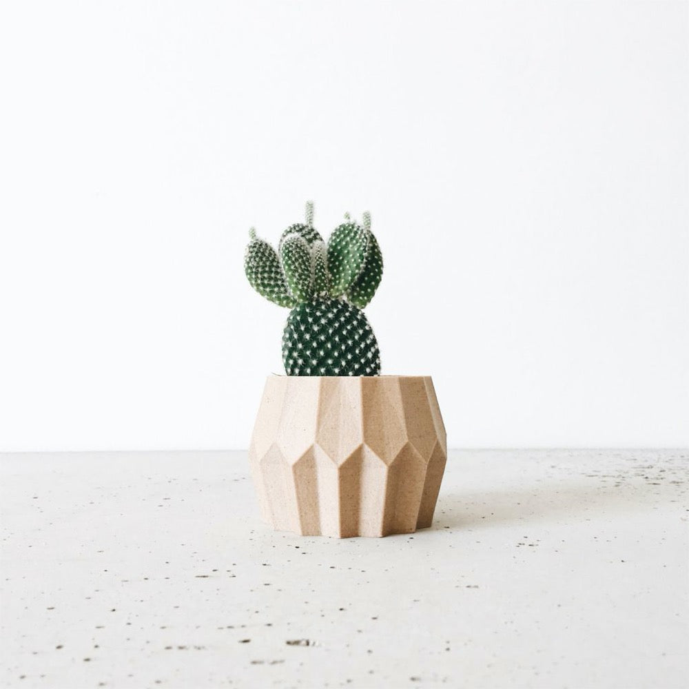 cache pot imprimé 3D avec du bois recyclé et de l'amidon de maïs