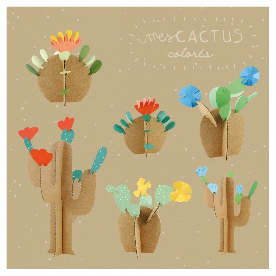 Kit loisir créatif - Mes cactus colorés Pirouette Cacahouète